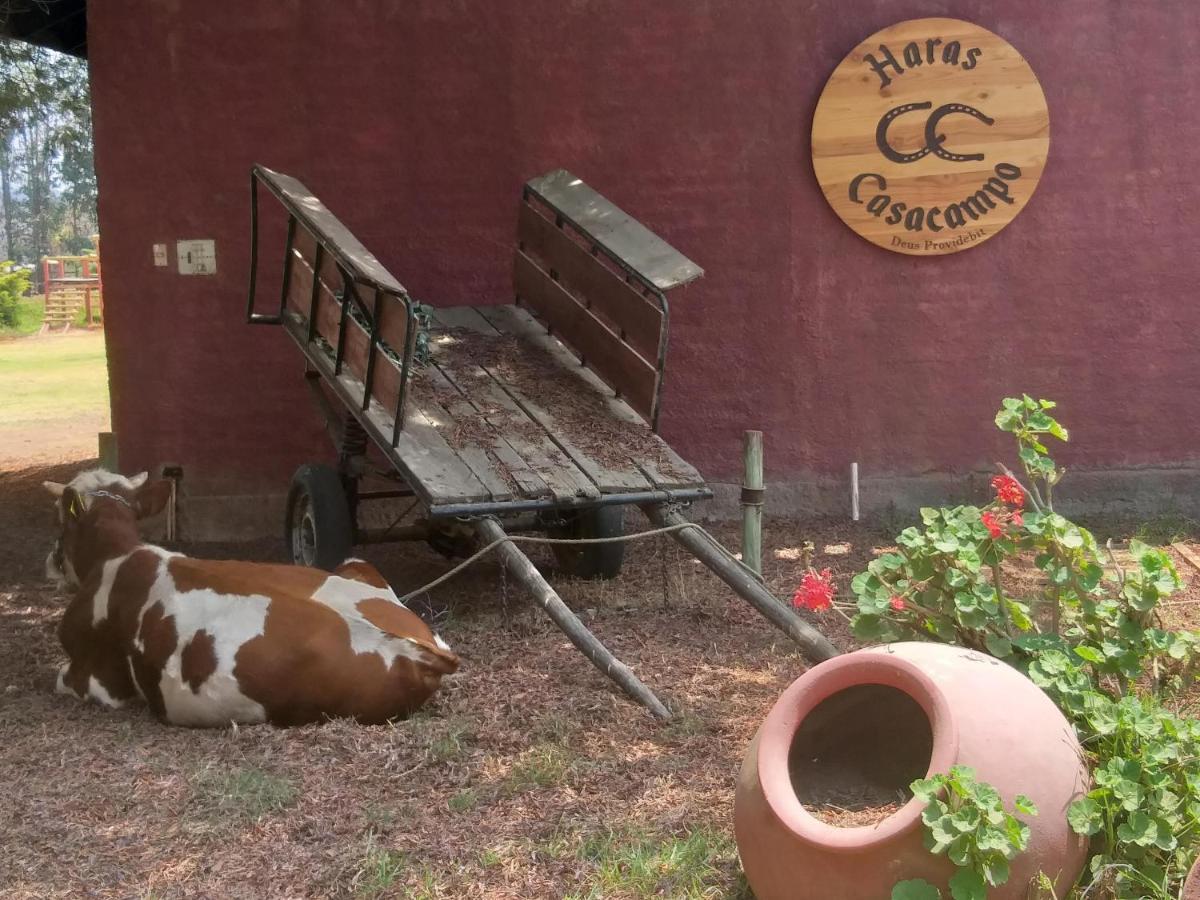 Hotel Haras Casacampo Quintero Kültér fotó